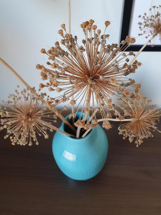 Ferienapartment Vögelsen Vogelsen Exteriör bild